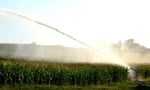 DuCaR Jet 200 corn irrigation